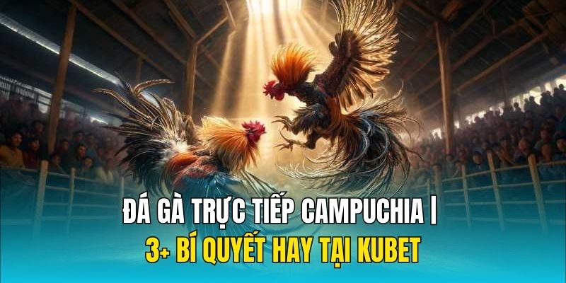 đá gà trực tiếp Campuchia