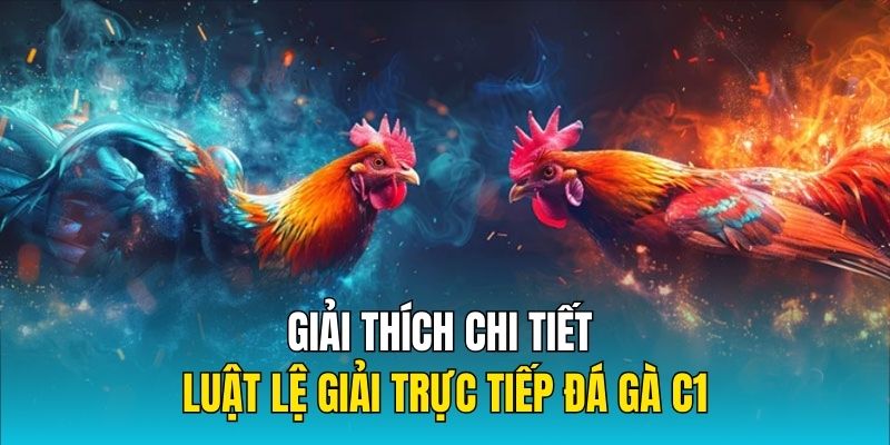 Giải thích chi tiết luật lệ giải trực tiếp đá gà C1